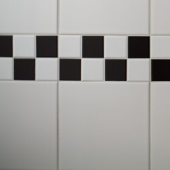 lens test image