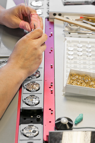 Mounting the mainspring